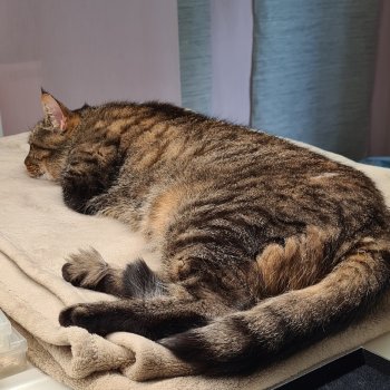 Caspar 251101-144747