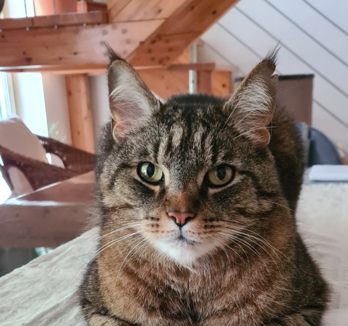 Caspar 251101-144747