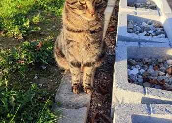 Charlie  260412-100437