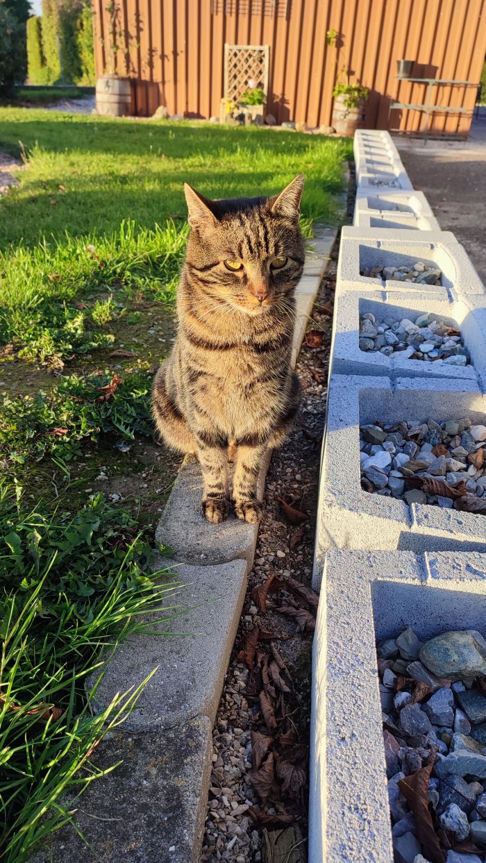 Charlie 260412-100437