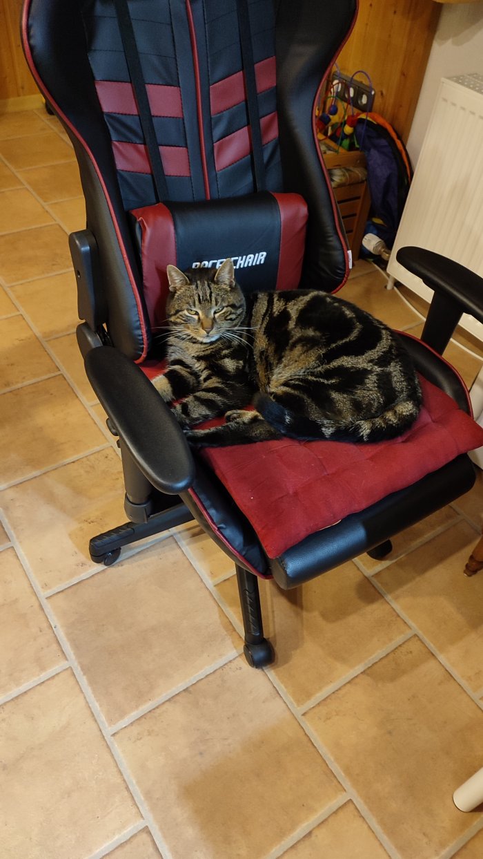 Charlie 260412-100437