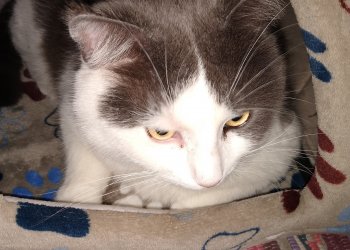 Charlie  260510-203125