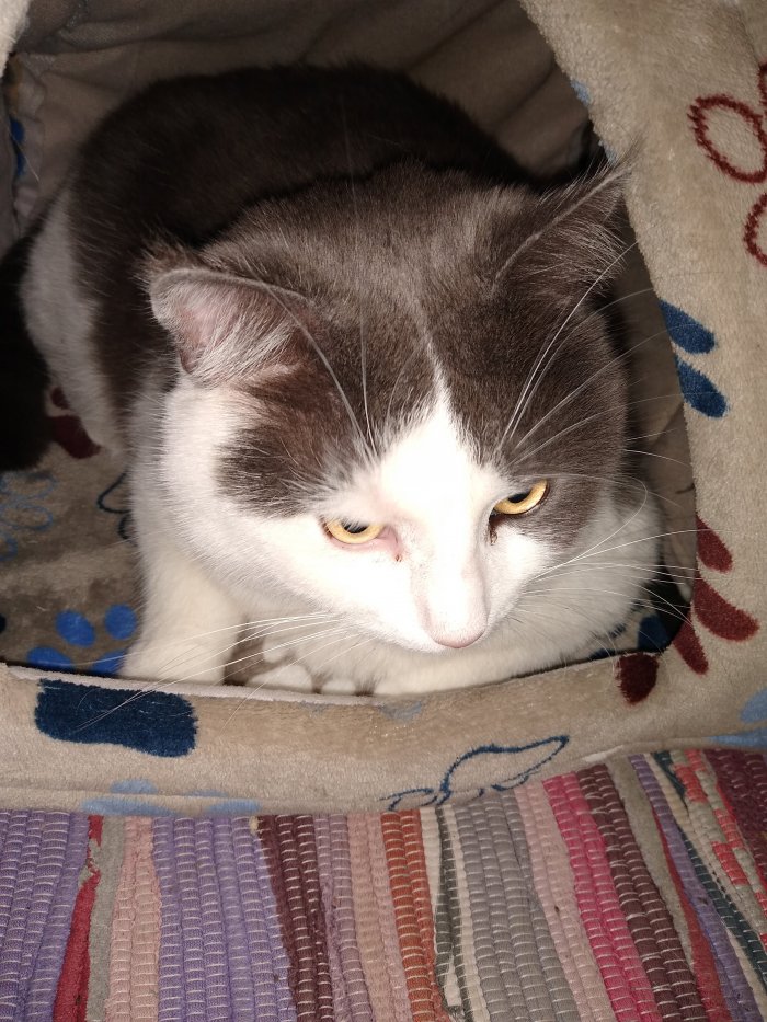 Charlie  260510-203125
