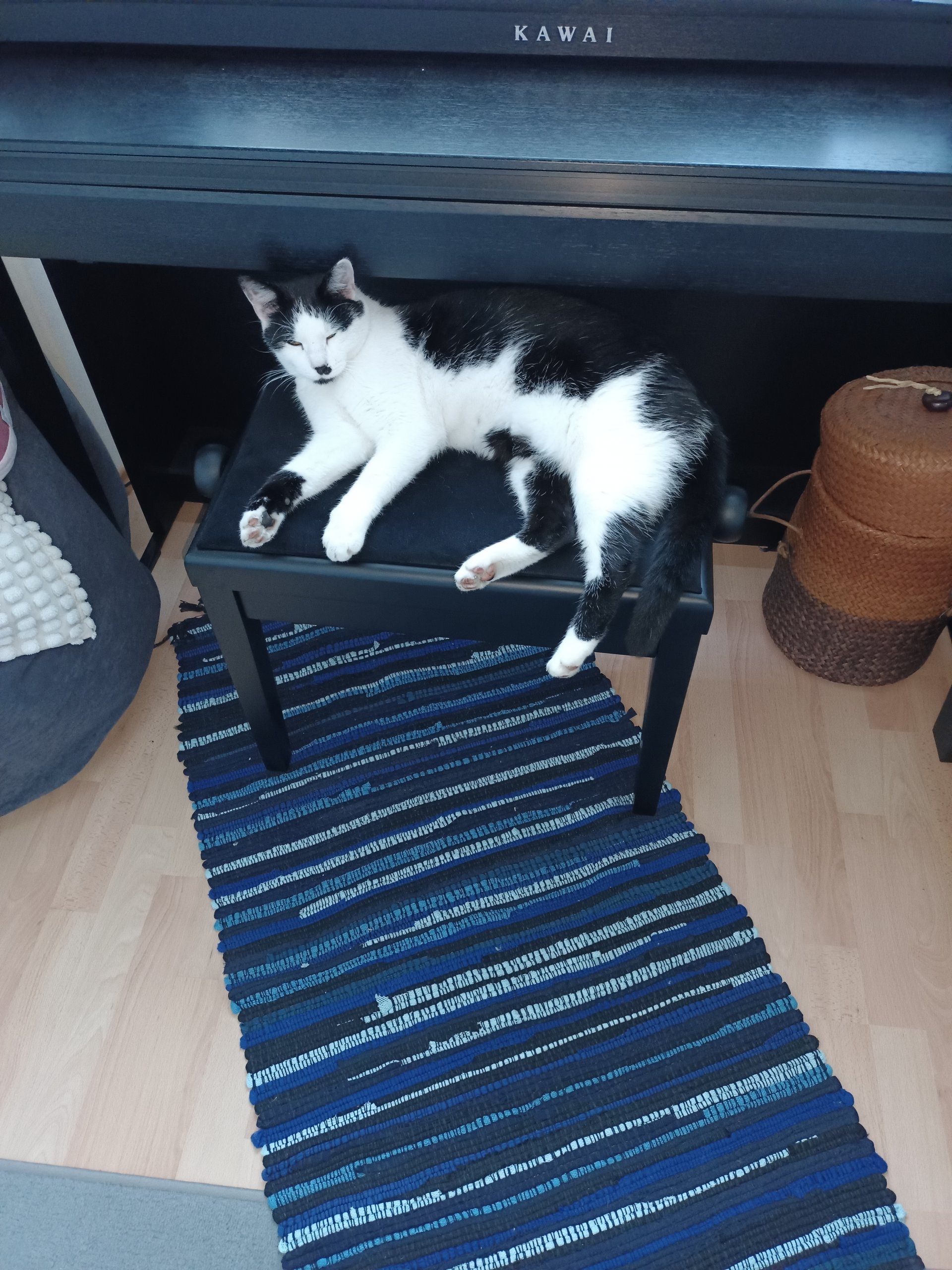 Charlie 251109-204850