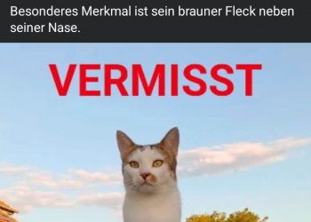 Charlie 260414-005825