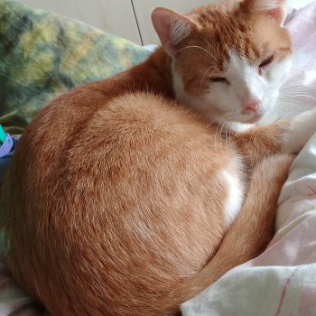 Charlie 250412-164222