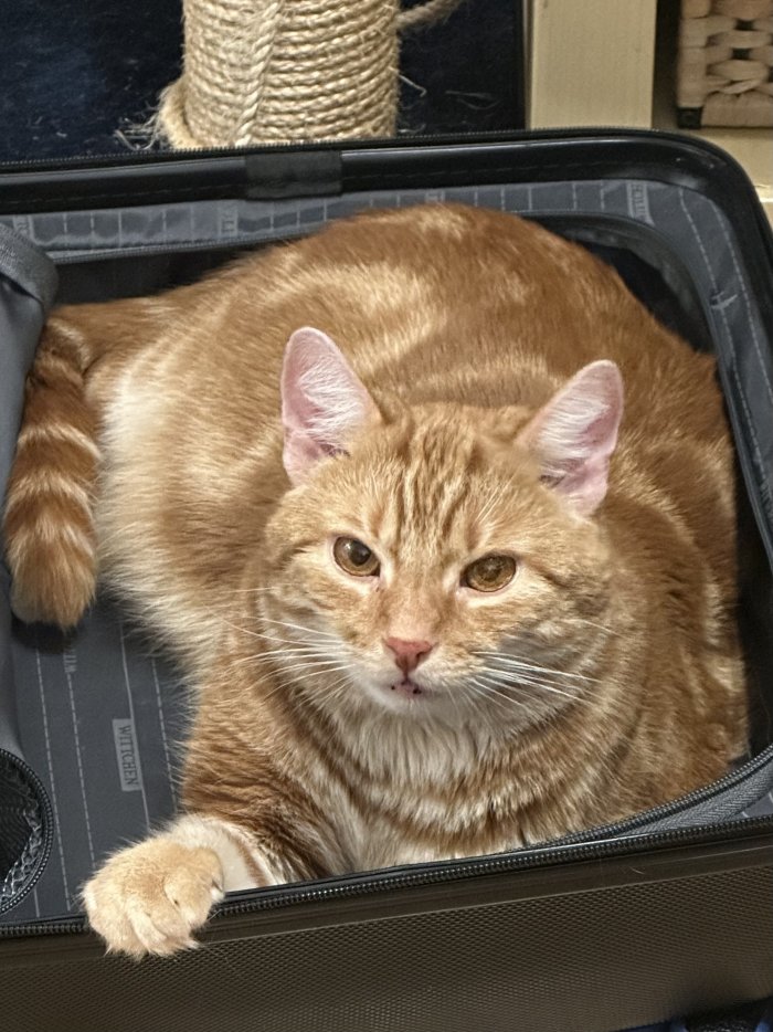 Charlie 260303-145437