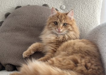 Charlie 260407-075556