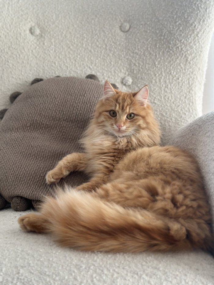 Charlie 260407-075556