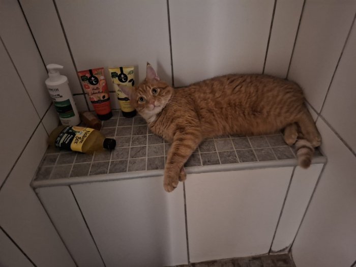 Charlie 250827-213229