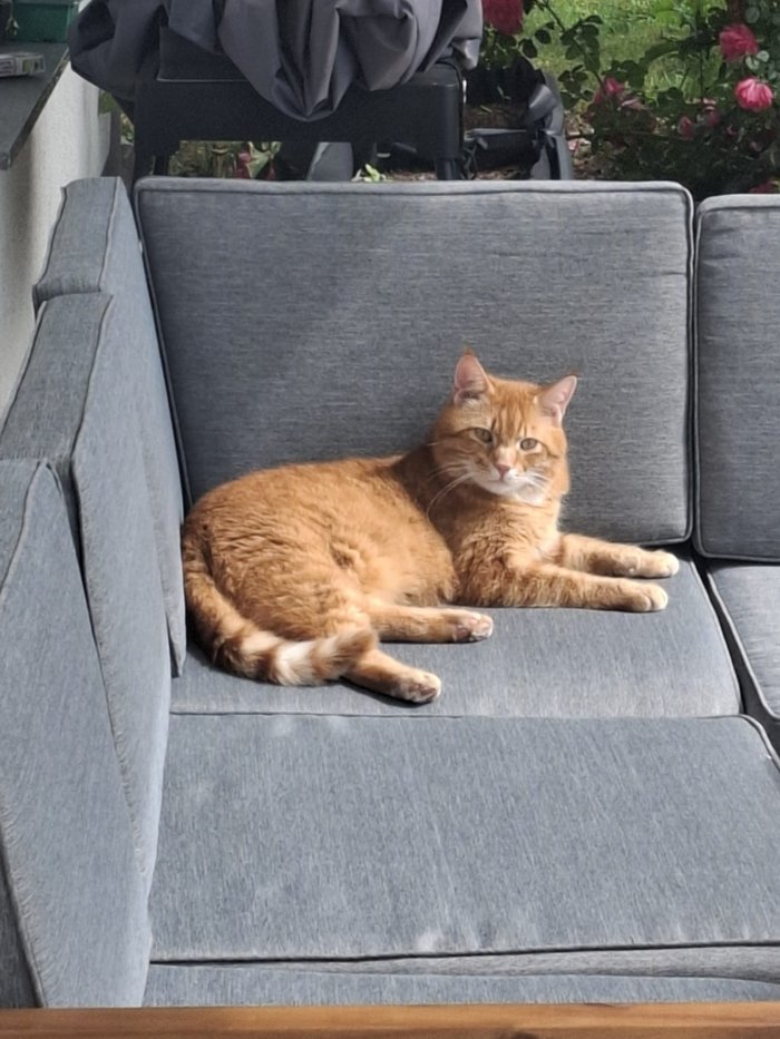 Charlie 250827-213229