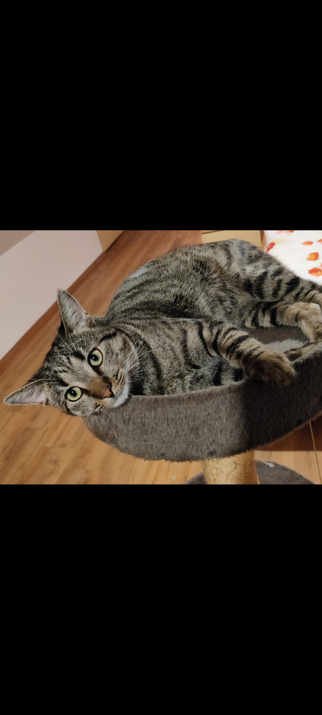 Charly 250909-150743