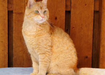 Charly 260421-134528