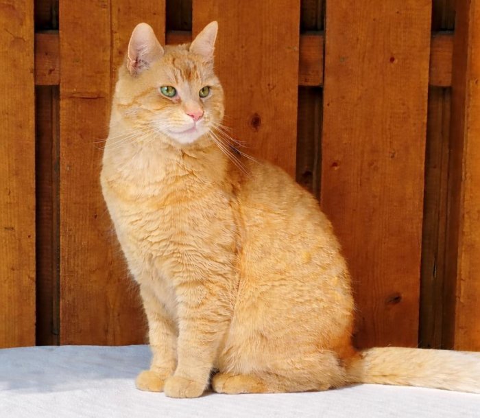 Charly 260421-134528