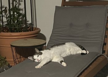 Charly 251029-205453