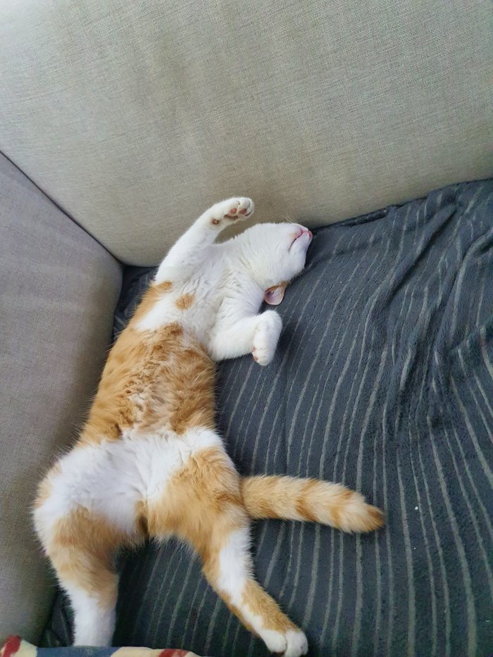 Charly 251027-203838