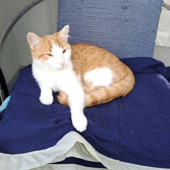 Charly 251027-203838