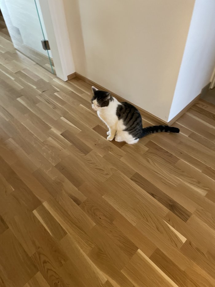 Charly 251029-205453