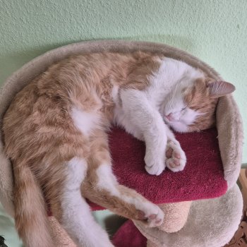 Charly 251027-203838