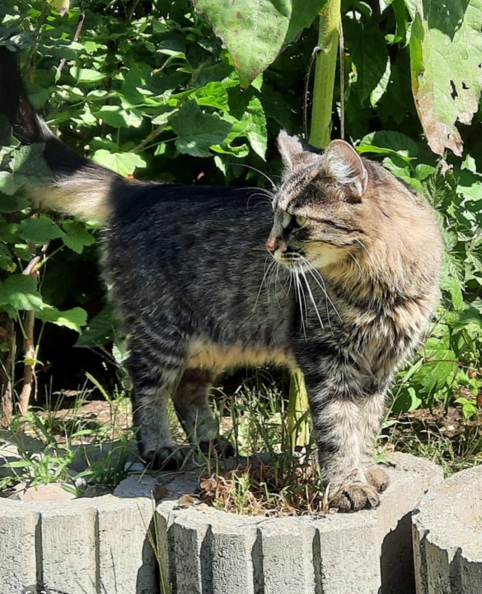 Charly 251107-184626