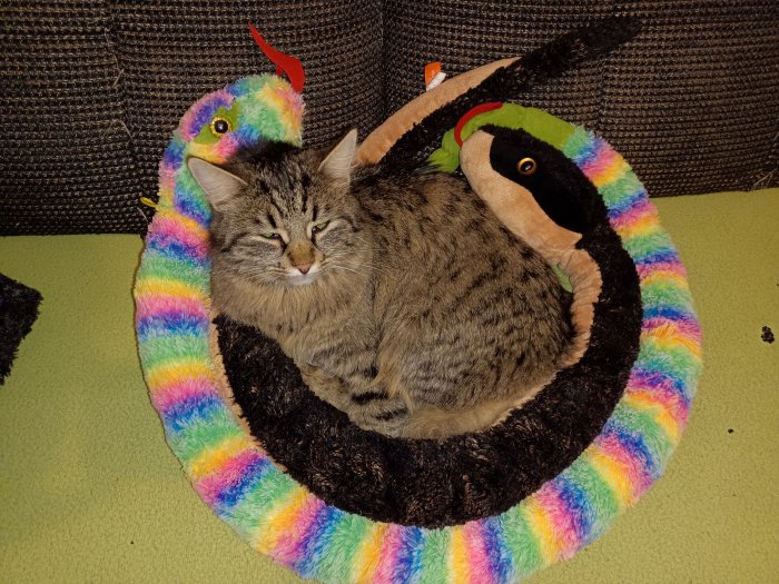 Charly 251107-184626