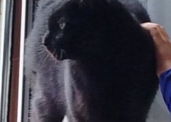 Charly 251214-102031