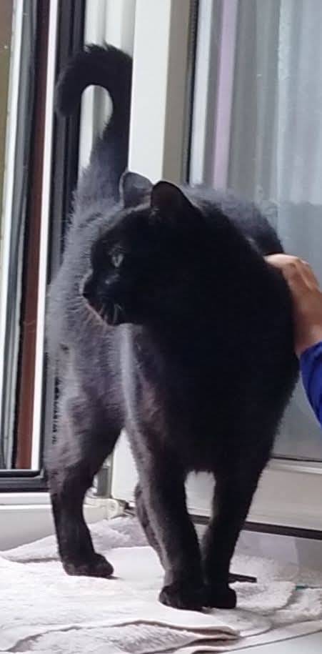 Charly 251214-102031