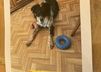 Charly 260118-171156