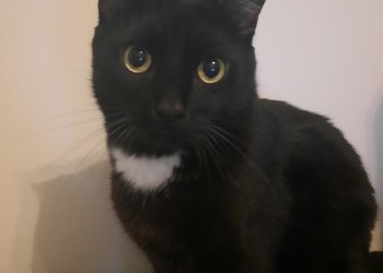 Charly 260307-190204