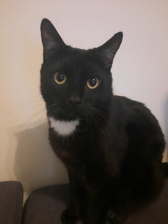 Charly 260307-190204