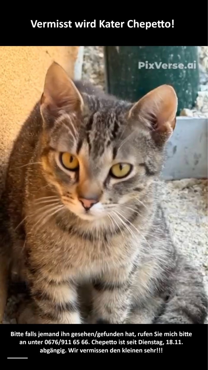 Chepetto 251125-101152