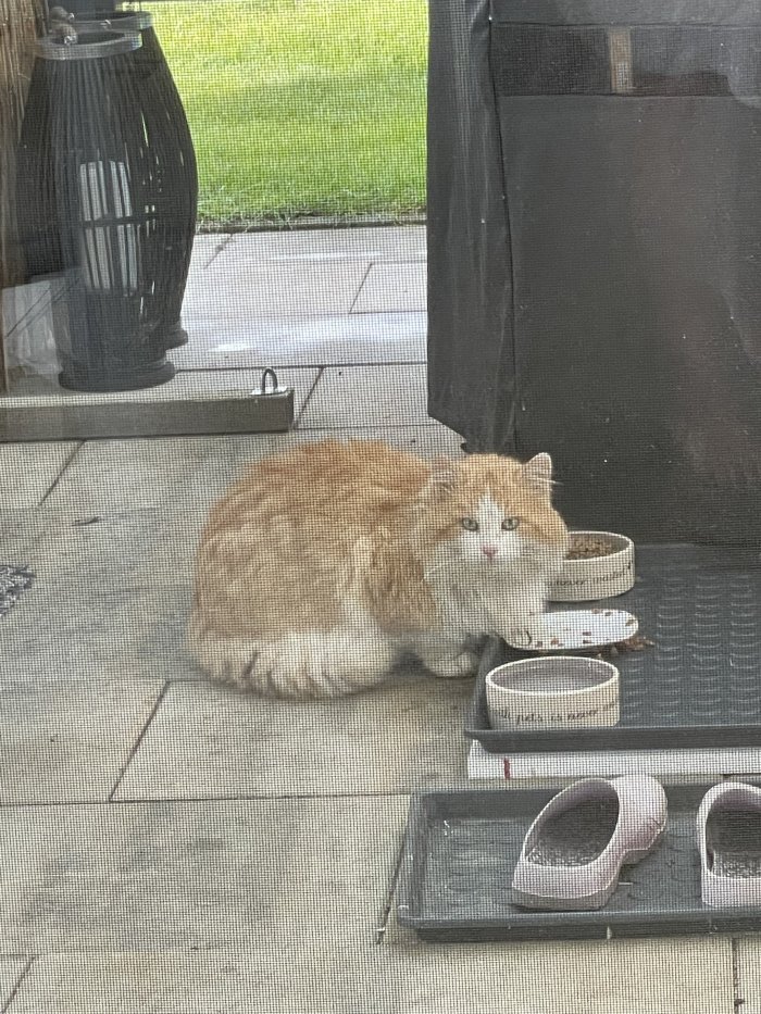 Cherry 251204-203251