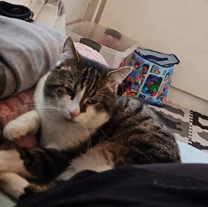 Chester 250720-012853