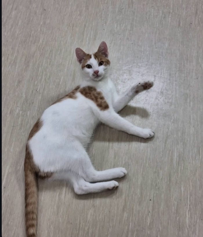 Chilli 251230-221556