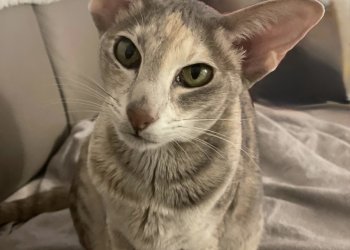 Cleo 250612-202620