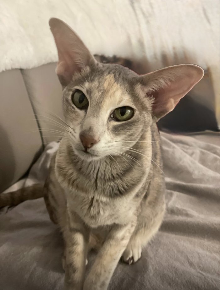 Cleo 250612-202620