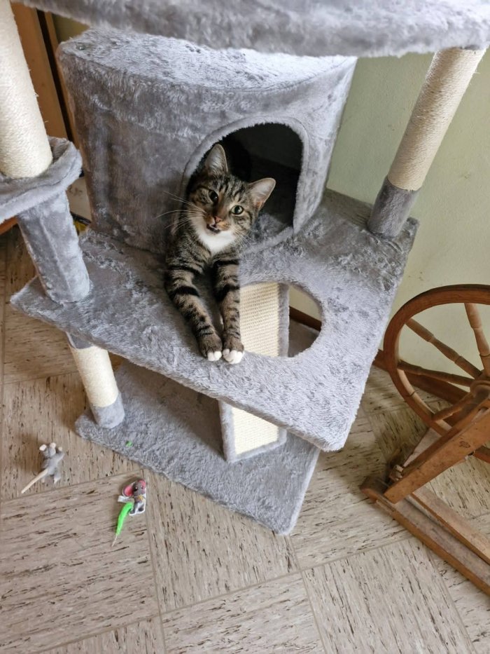 Cookie 251014-200407