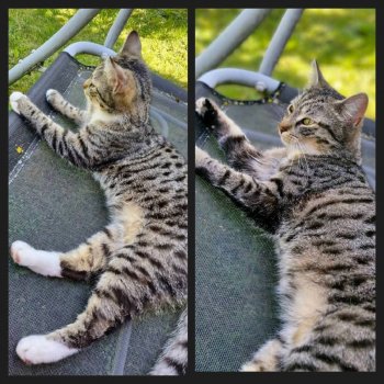 Cookie 251014-200407