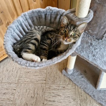 Cookie 251014-200407