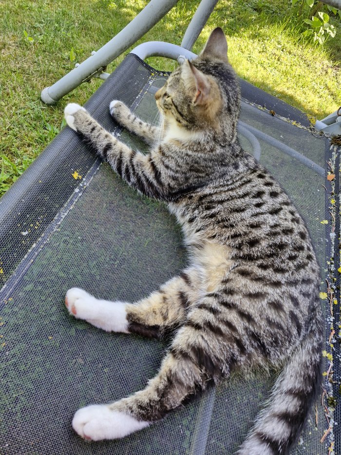 Cookie  250830-202638