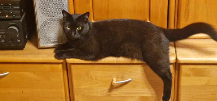 Crowley  260312-000031