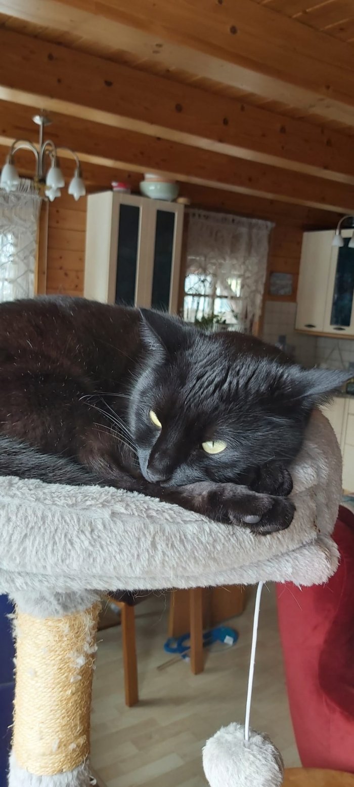 Crowley  260312-000031