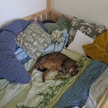 Crowley 250929-094537