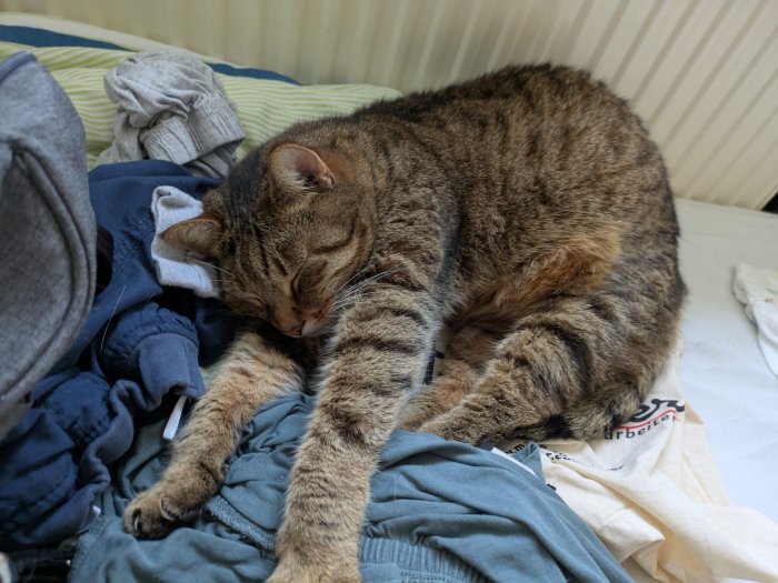 Crowley 250929-094537