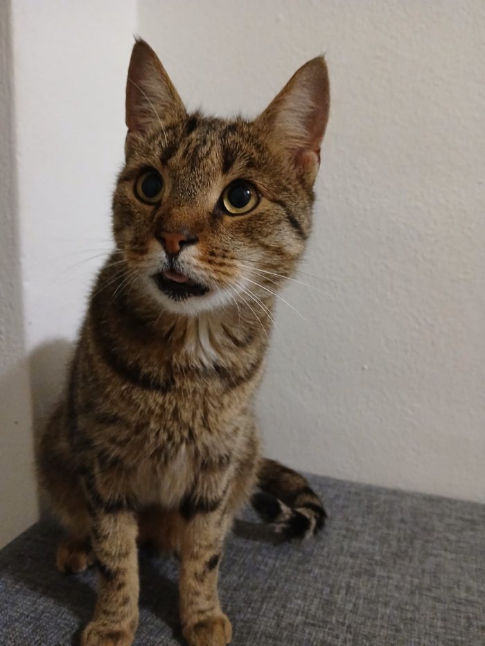 Unbekannt 250825-102109