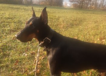 Darius 251203-234850