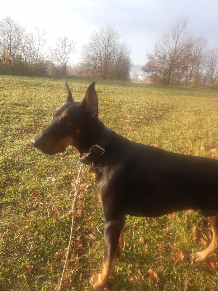 Darius 251203-234850