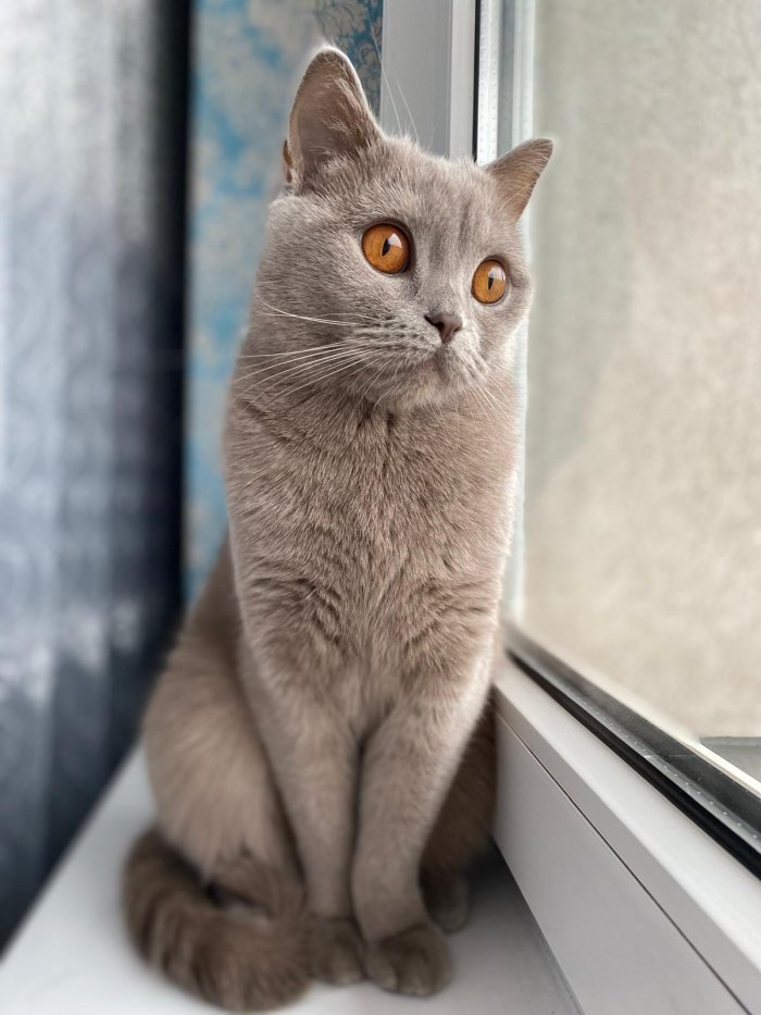 Duška 250816-170133