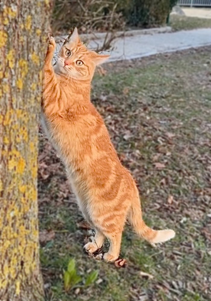 Eduard 260414-120558