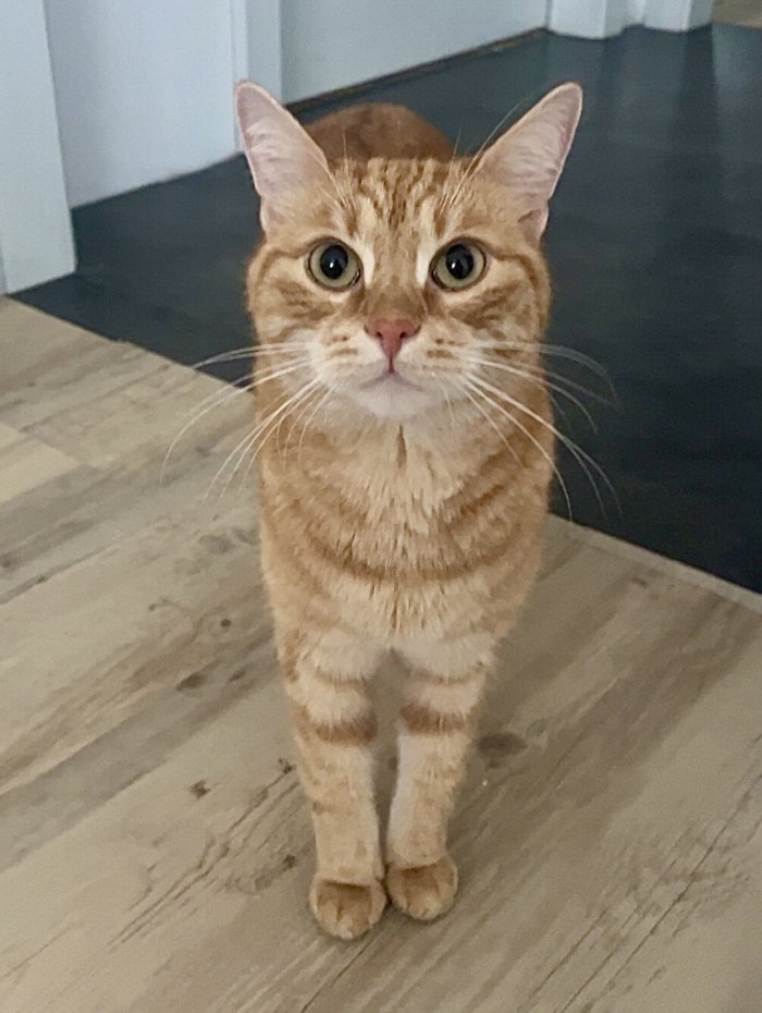 Eduard 260414-120558